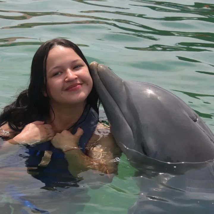 Nado con Delfines - Experiencia Interactiva