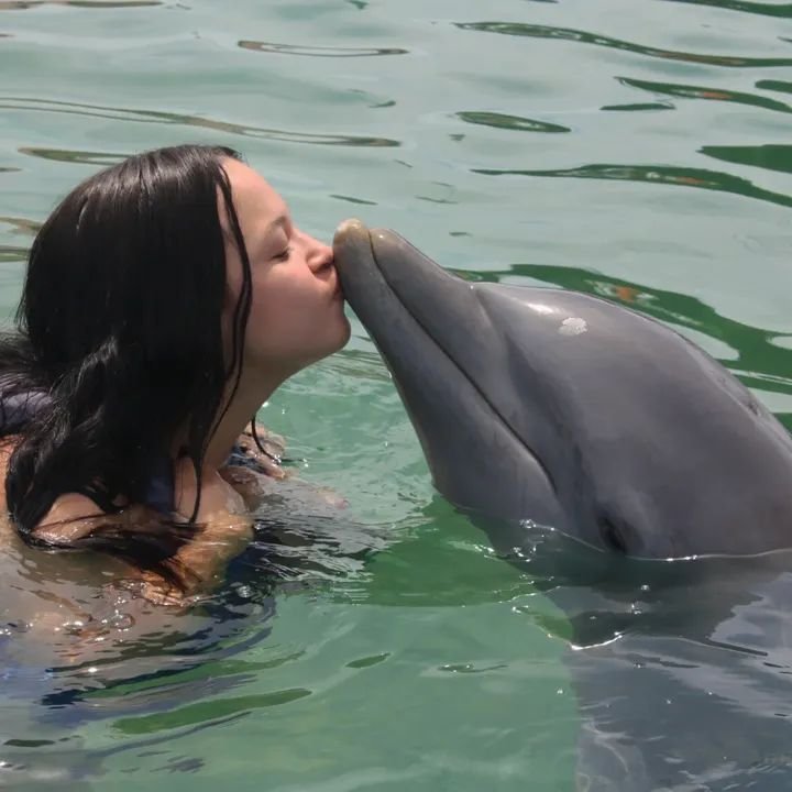 Encuentro con Delfines (Waterland Mundo Marino)